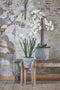 Mica Decorations Ascot Plantenstandaard - L33 x B33 x H89 cm - Hout - Lichtbruin