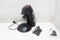 Philips Senseo Original Plus - Koffiepadmachine - Intensity Select - Zwart