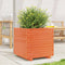 vidaXL - Plantenbak - 50x50x49,5 - cm - massief - grenenhout - wasbruin