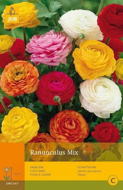 2 stuks - JUB - 10 Ranunculus Mivj
