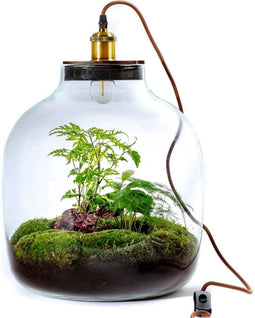 Growing Concepts Hebe Lamp 47cm / 34cm / Botanisch