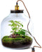 Growing Concepts Hebe Lamp 47cm / 34cm / Botanisch