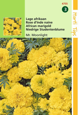 2 stuks - Hortitops - Tagetes Erecta Nana Mr. Moonlight