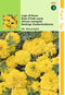 2 stuks - Hortitops - Tagetes Erecta Nana Mr. Moonlight