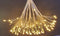 Luca Lighting Kerstverlichting Paardenbloem met 160 Warm Witte LED Lampjes - Ø80 cm - Zilver