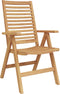 vidaXL - Tuinstoelen - 2 - stuks - Massief - Teakhout