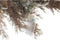 Kerstkroon DKD Home Decor Bloem (60 x 10 x 60 cm) (2 Stuks)