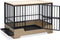 Designed by Lotte Quirine - Hondenbench - Verhoogde instap - Zwart - XL - 112x73x85 cm