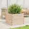 vidaXL - Plantenbak - 60x60x46 - cm - massief - grenenhout