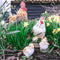 Farmwood Tuinbeeld Haan | 25 x 13 x 30 cm Bruin