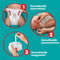 Pampers Baby-Dry Pants - Luierbroekjes Maat 4 - Stop & Protect Systeem - 27 stuks