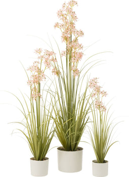 J-Line plant Allium In Pot - kunststof - groen/lichtroze - large