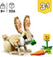 LEGO Creator 3in1 Lief konijn dieren - 31162