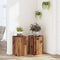 vidaXL - Plantenstandaards - 2 - st - 30x30x50 - cm - bewerkt - hout - oud - houtkleurig