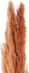 PTMD Dried Twig Pampas Gras - 65 x 7 x 110 cm - 3 stuks - Rood/Bruin