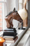J-Line decoratie Paardenkop - polyresin - bruin