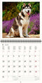 2026 Kalender schrijven 30 x 30 honden - gratis 2025