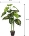 Mica Decorations Caladium Kunstplant - H100 x Ø50 cm - Groen