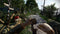 Rebellion Atomfall - Xbox One & Series S|X - Survival actiegame (2025)