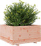 vidaXL - Plantenbak - 90x90x49,5 - cm - massief - douglashout