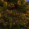 Kerstverlichting - Clusterverlichting - 576 LED's - Lengte: 4 meter - Warm wit