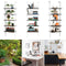 Coast 5-Laagse Ladderplank Boekenkast - Ruimtebesparend Opberg- en Weergave Rek - Wit 61x30x183 cm