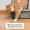 Cellavi Kattenbakvulling Tofu 15L - Klontvormende Kattenbakvulling Lavendel - Stofvrij Kattengrind