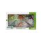 Set van Dinosaurussen Prehistoric Life (6 pcs)