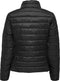 ONLY ONLNEW TAHOE QUILTED JACKET - Gewatteerde Jas - Hoge kraag - Blauw - Maat L