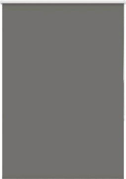 vidaXL - Rolgordijn - verduisterend - 100x175cm - stofbreedte - 95,7cm - polyester