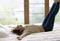 Home & Comfort Matrastopper 80*200cm - Ondersteunend en Drukverlagend - Wasbaar - Anti-allergeen - Wit