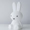 Mr Maria - Nijntje Star Light - 50 cm - LED lamp - dimbaar - Wit
