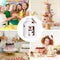 Taartdoos taartdoos geschenkdoos karton transparant hoog 2 stuks grote taartbox taarttransportbox