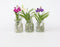 Plant in a Box - Vanda 'Bose' in vaas - Orchidee - Kers - Hoogte 45cm