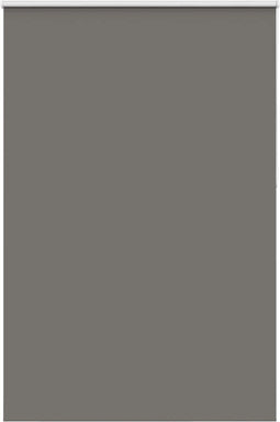 vidaXL - Rolgordijn - verduisterend - 165x230 - cm - stofbreedte - 161,6 - cm - grijs