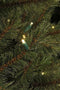 Black Box Trees Toronto Kunstkerstboom met LED verlichting - H120 cm - groen
