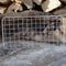 Packable Grill Large 24cm x 12.5cm