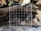 Packable Grill Medium 14cm x 16cm