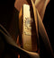 Paco Rabanne 1 Million - 50 ml - parfum spray - pure parfum voor heren