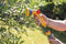 Hozelock Rose Spraygun - Broespistool Startset - Lichtgewicht - Ergonomische handgreep