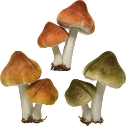 Paddenstoel foam l5b7h9cm a3