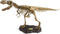 Paleo Expeditions - Tyrannosaurus Rex