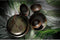 Palmer Bord Jungle Aurora 31 cm Groen Stoneware 1 stuk(s)