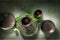 Palmer Bord Jungle Aurora 31 cm Groen Stoneware 1 stuk(s)