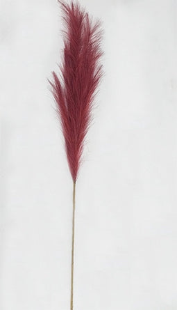 Pampas gras 100cm rood