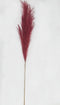 Pampas gras 100cm rood