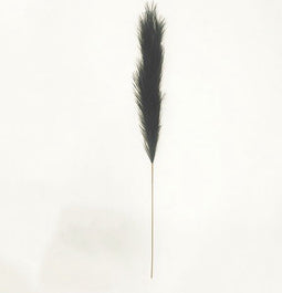 Pampas gras 130 cm Zwart kunstplant
