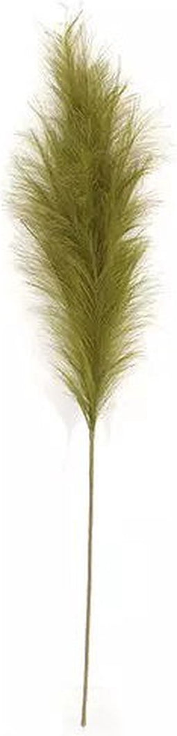 Pampas Gras 60 cm Mos groen kunstplant