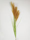 Pampas gras 80cm met blad bruin
