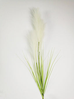 Pampas gras 80cm met blad creme